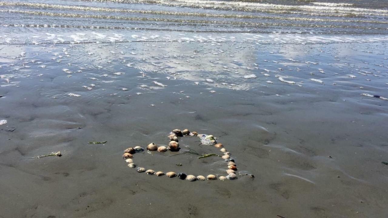 בוסום Strandhaus Kleine Perle מראה חיצוני תמונה
